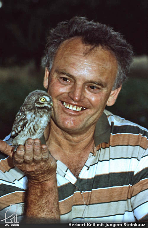 Herbert Keil mit jungem Steinkauz. [Keine Zweitverwertung]