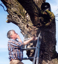 christian-stange-200.jpg christian-stange-200.jpg