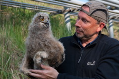 brt_9897-240.jpg brt_9897-240.jpg