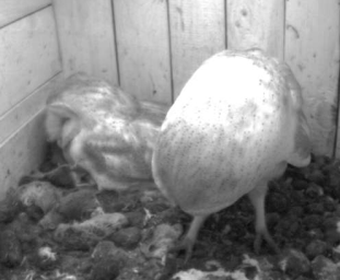 familiaere_zwiesprache_image_0.png familiaere_zwiesprache_image_0.png