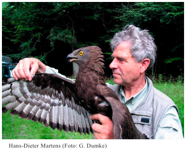 hans-dieter_martens.png hans-dieter_martens.png