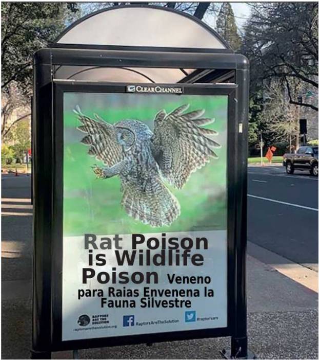 rat-poison-is-wildlife-poison.jpg