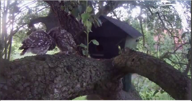 neu-verpaart-17-05-28.png neu-verpaart-17-05-28.png