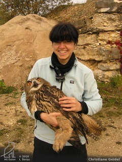 Christiane Geidel