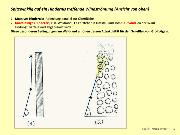 Abbildung 17.